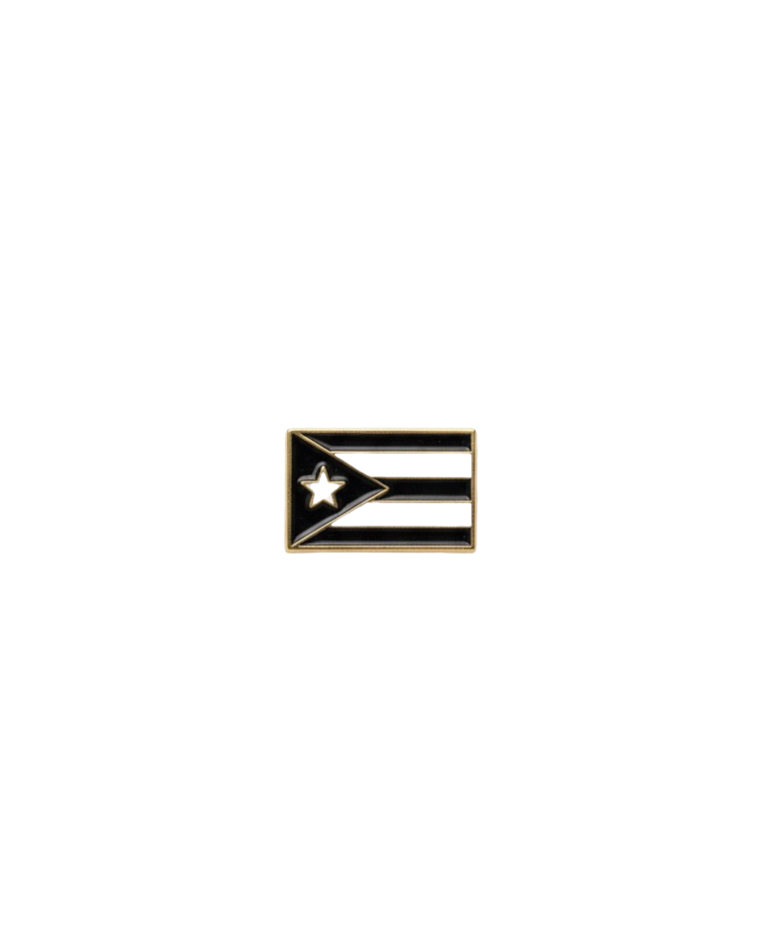 Bandera de Resistencia Pin
