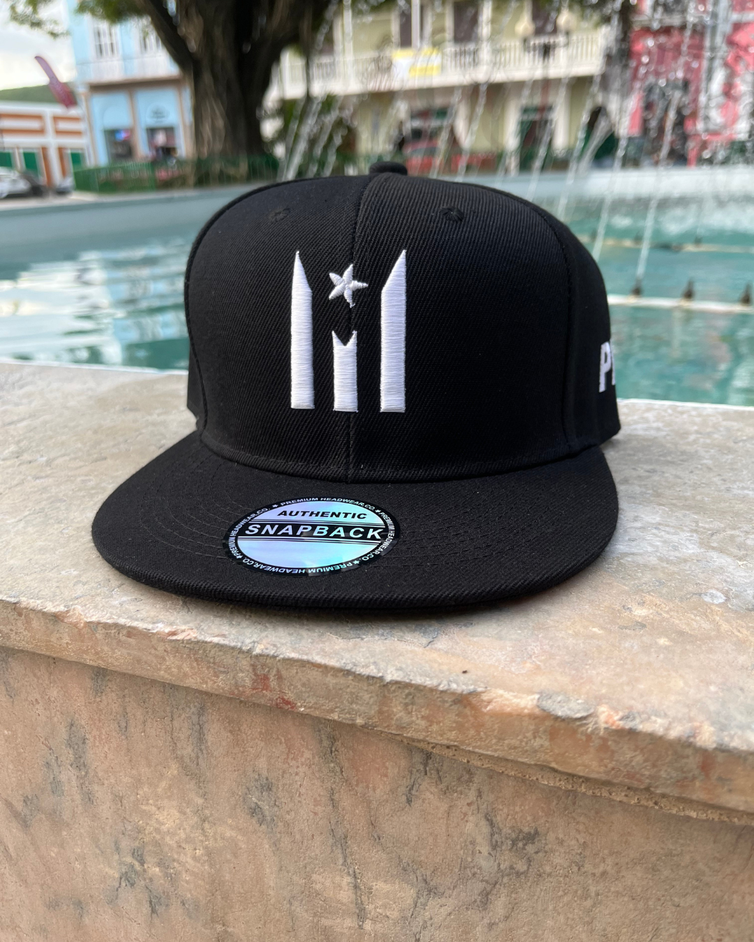 Resistencia PR Snapback