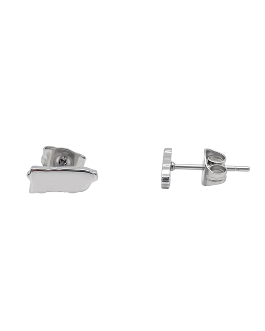 Aretes Mapa de PR