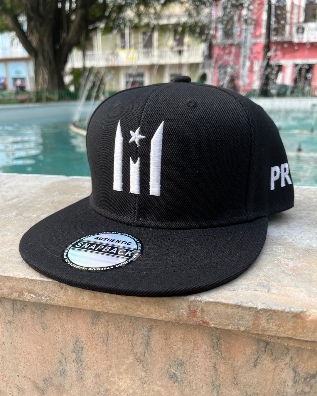 Resistencia PR Snapback